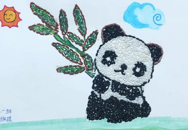 我把种子&ldquo;种&rdquo;到了纸上