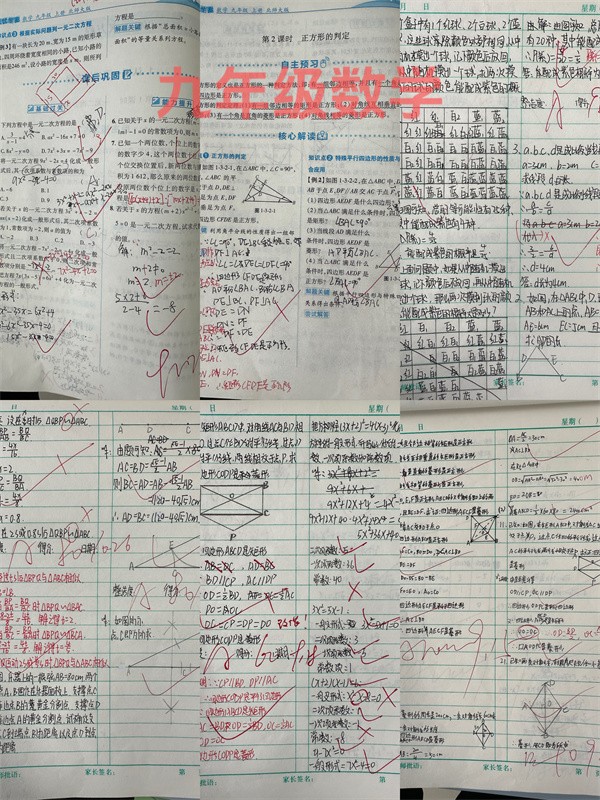 微信图片_20231031084400 - 副本.jpg