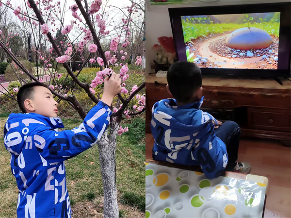 &ldquo;锋&rdquo;尚行动 绿满校园&mdash;&mdash;咸阳市高新一中小学部开展美化校园主题活动