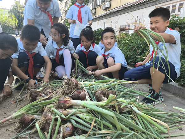 劳动教育润童心 田间课堂育成长&mdash;&mdash;咸阳市高新一中小学部红领巾农庄收货记