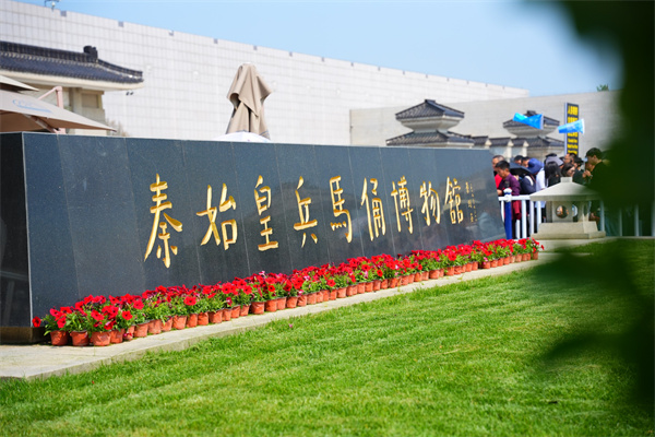 DSC08563-opq4552780033.jpg