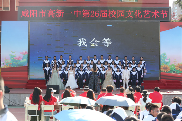x选1 (14).jpg