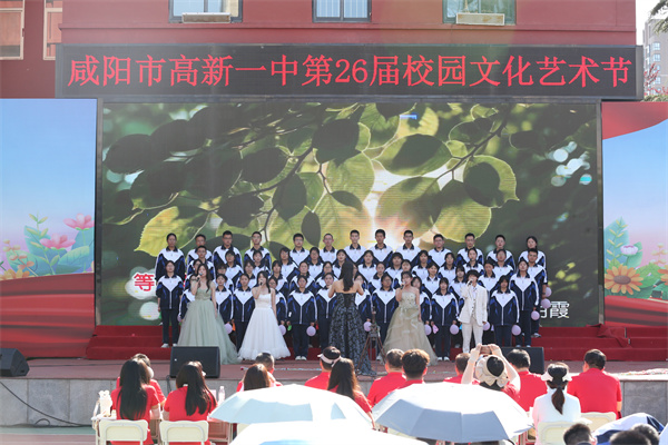 x选1 (15).jpg