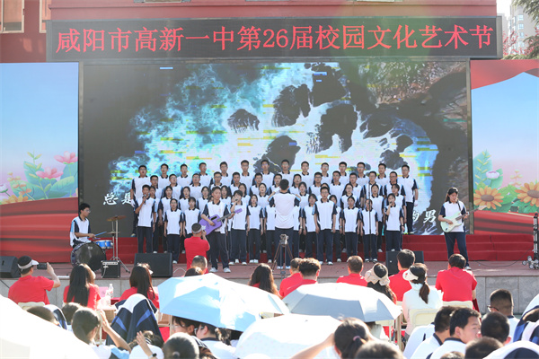 x选2 (10).jpg