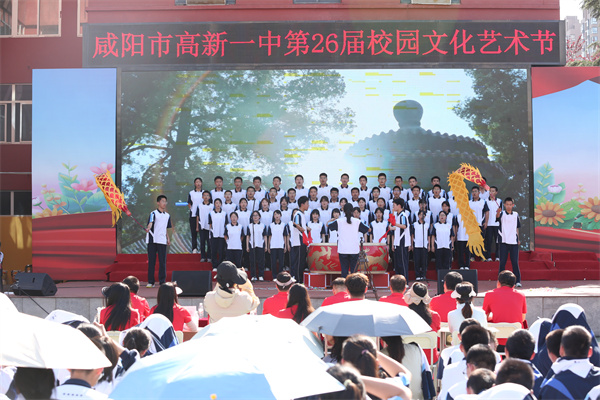 x选1 (13).jpg