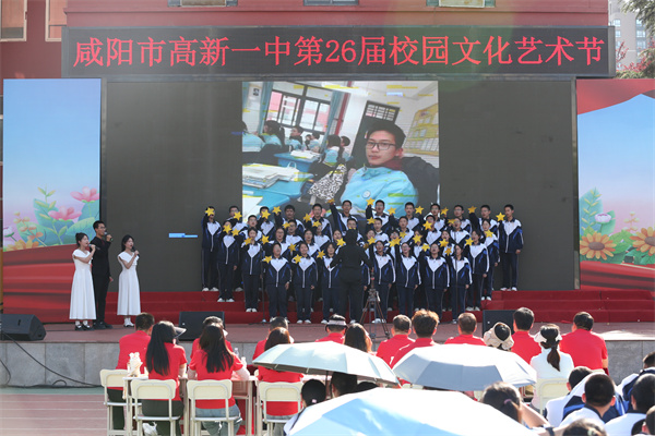 x选2 (3).jpg