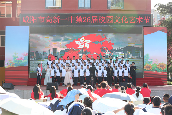 x选2 (12).jpg