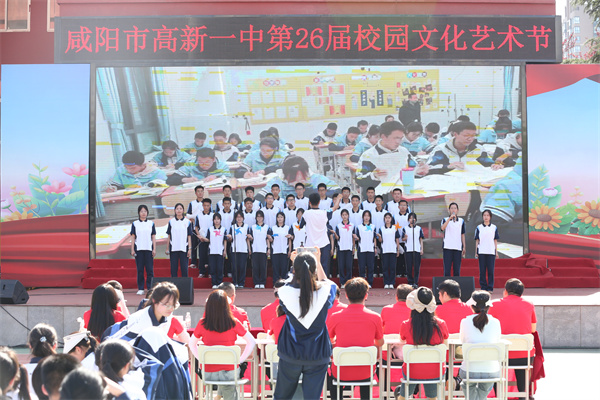 x选1 (3).jpg
