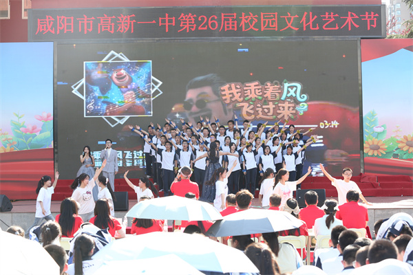 x选1 (12).jpg