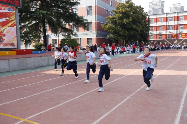 333333_MG_3762 (28).JPG