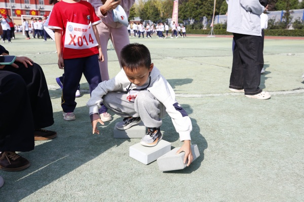333333_MG_3762 (12).JPG