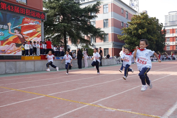 333333_MG_3762 (1).JPG
