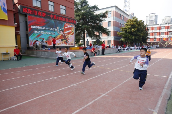 333333_MG_3762 (17).JPG