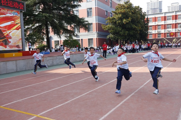 333333_MG_3762 (27).JPG