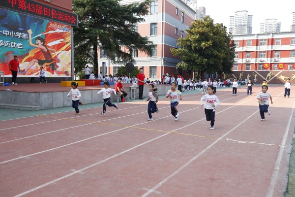 333333_MG_3762 (16).JPG